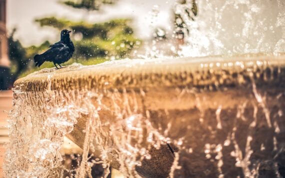 Gartenbrunnen für den kleinsten Garten